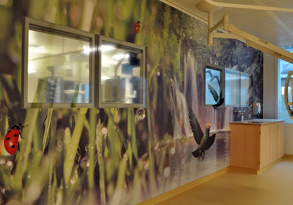 Leids Universitair Medisch Centrum